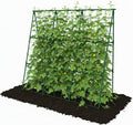 Cucumber Trellis by TrellumeGardenHome