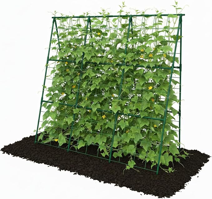 Cucumber Trellis by TrellumeGardenHome