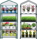 Mini Greenhouse for Indoor Outdoor, Plant Green House 4-Tier Rack Stand by Purlyugreenhouse