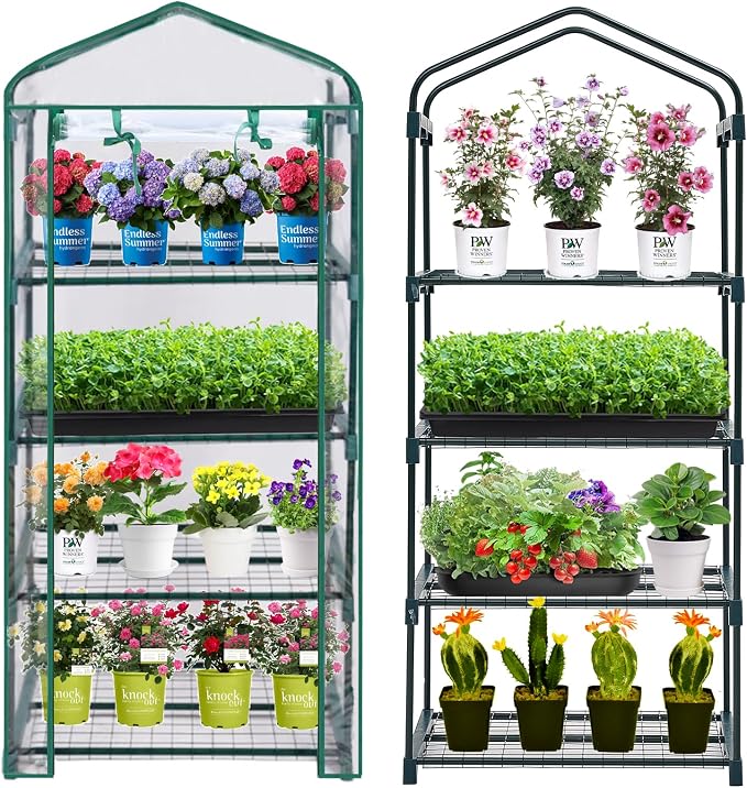 Mini Greenhouse for Indoor Outdoor, Plant Green House 4-Tier Rack Stand by Purlyugreenhouse