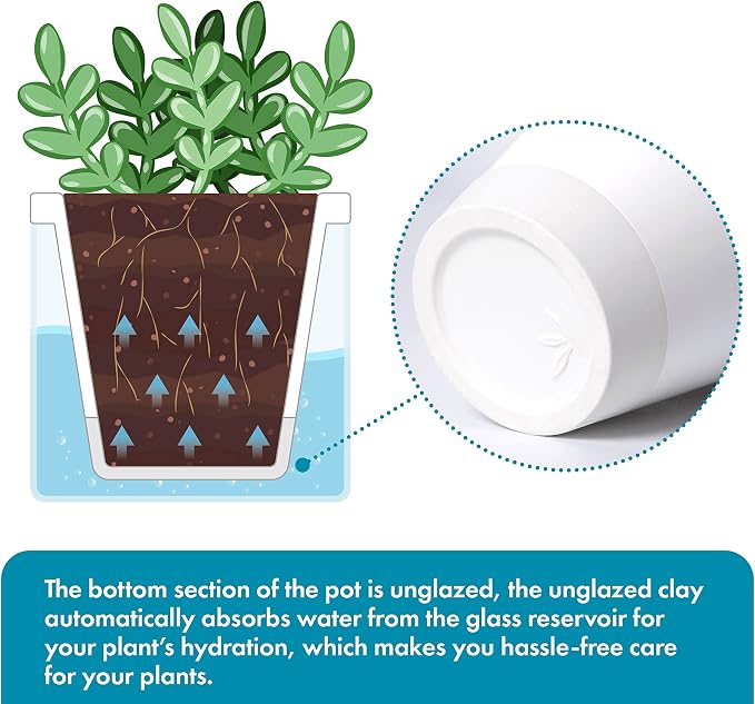 D'vine Dev 4 Inch Design Self Watering Planter - Image 4