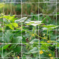 Tcamp Garden Trellis Netting for Plants by Tcamp