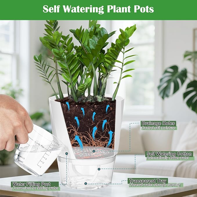 KIMCHOMERSE Self Watering Plant Pots, 6 Inch Plant Pots White, 6 Pack Flowers - Image 3