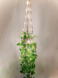 Comtelek Fake Hanging Plants by Comtelek