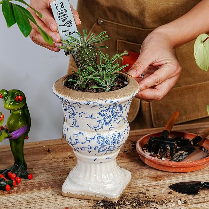 Sungmor Small Ceramic Urn Planter - Image 7