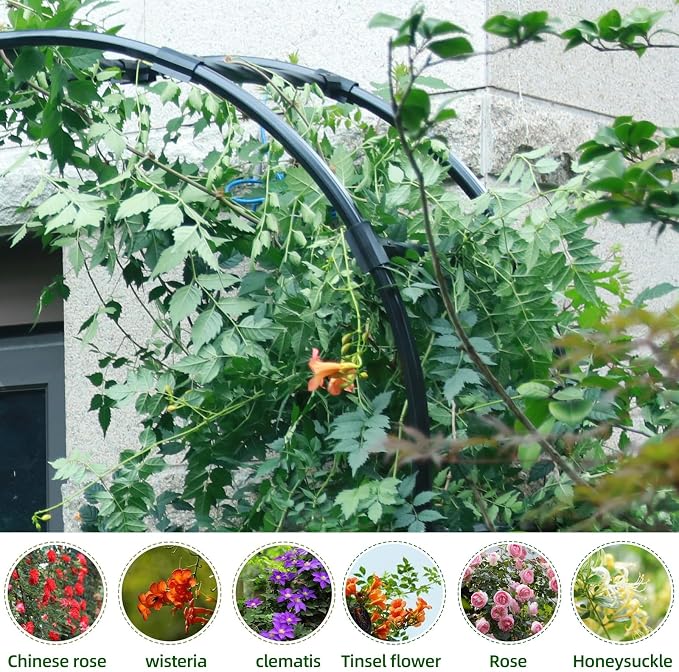 Half Sided Arch Against The Wall Garden Trellis - Image 3