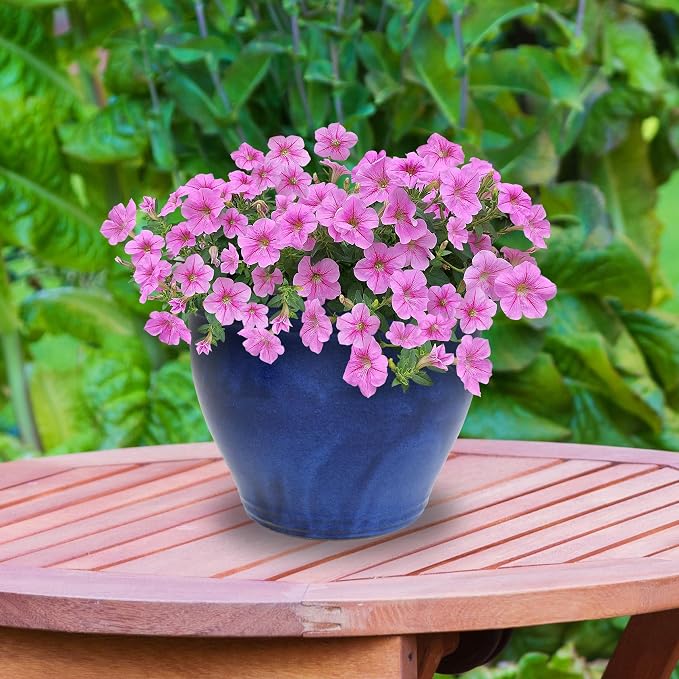 Sunnydaze Large Ceramic Plant Pot - Image 8