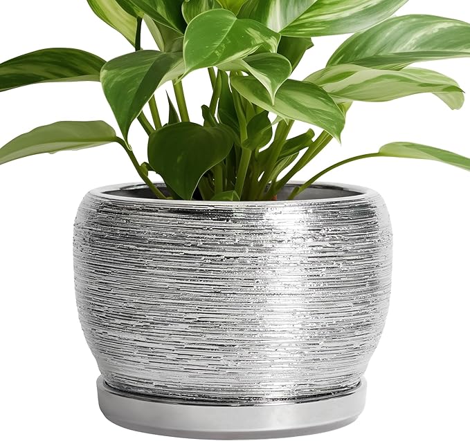SQOWL Ceramic Pot for Plants by SQOWL