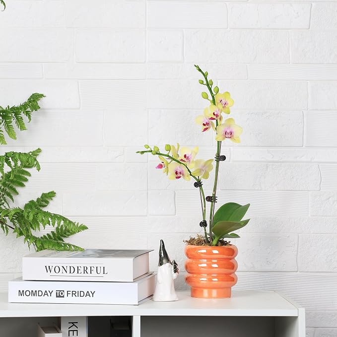 4.1 inch 4 pcs Ceramic Plant Pots - Image 4