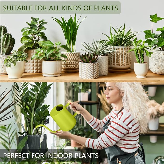 Watering Can Indoor Plants, 35oz Small Stainless Steel Metal Watering Can - Image 4