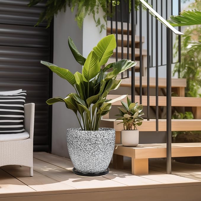 10 Inch Plant Pot - Image 5