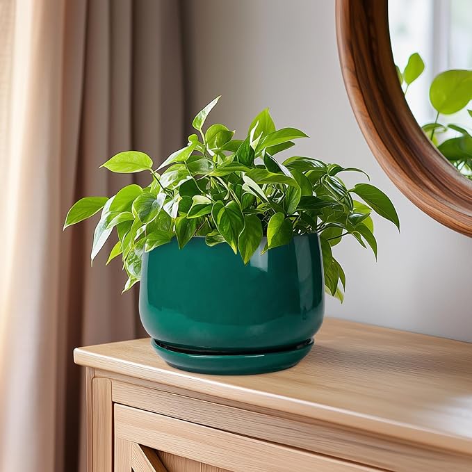 G EPGardening 6 Inch Plant Pot - Image 7
