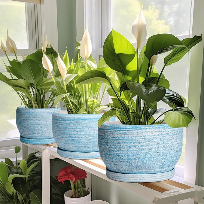 SQOWL Ceramic Plant Pots - Image 6