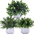 Winlyn 3 Pcs Faux Potted Plants Set by Winlyn