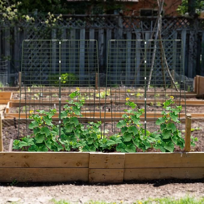 AGTEK 34" x 48" Foldable Cucumber Trellis - Image 7