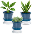 D'vine Dev 4 Inch Design Self Watering Planter by DvineDevPlanterPotsandStand