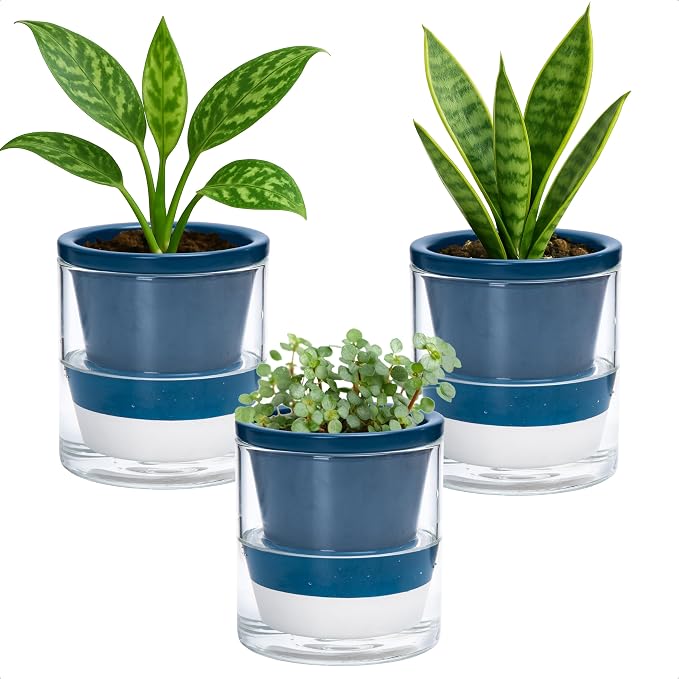 D'vine Dev 4 Inch Design Self Watering Planter by DvineDevPlanterPotsandStand