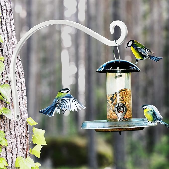 Qiang Ni Bird Feeder Hanger: 12-Inch Wall-Mounted Plant Bracket Outdoor - Image 8