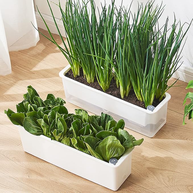 FAMZ Self Watering Pots for Indoor Plants 3 Pack Transparent Rectangular - Image 7