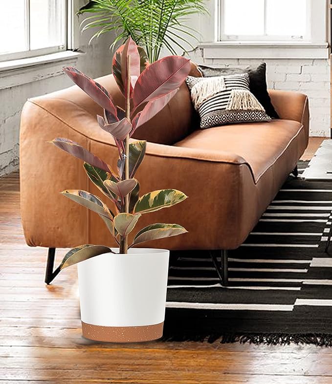 kubvici Plant Pots for Indoor Plants, 2 Pack 10 Inch Plant Pot Plastic Flower - Image 6
