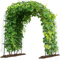 DoCred Tall Garden Arch Trellis by DoCred