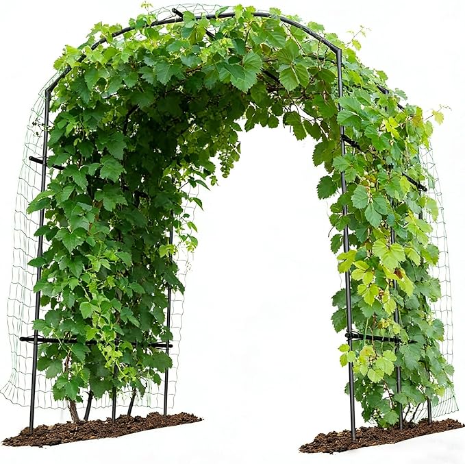 DoCred Tall Garden Arch Trellis by DoCred