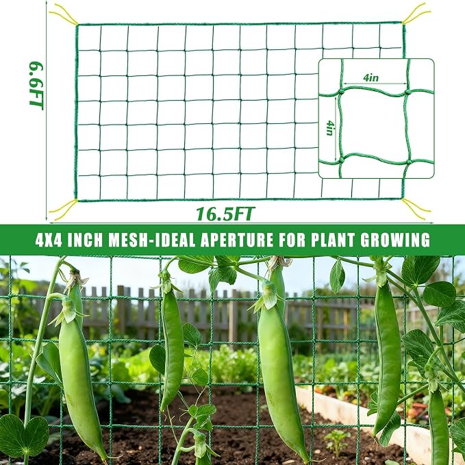 6.6x16.4FT Trellis Netting for Climbing Plants, Trellis Netting - Image 2