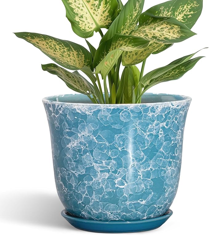 Ceramic Pots for Plants by SUNPOTFOR