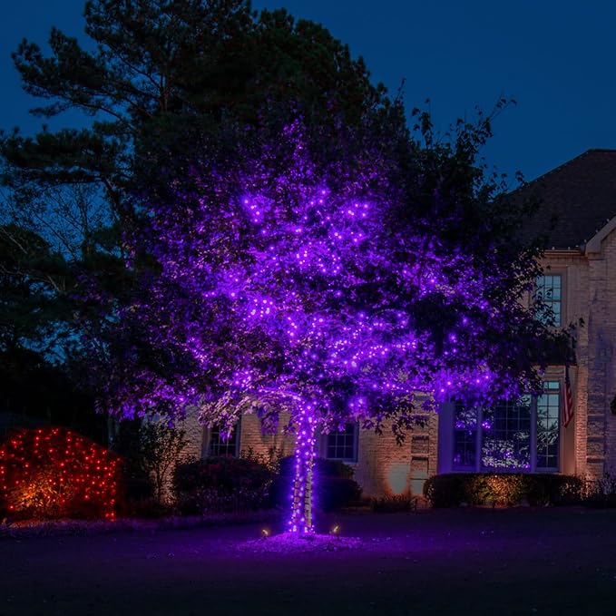 TW SHINE Purple Halloween Lights, 2 Pack 20FT 100 Count Incandescent Halloween - Image 6