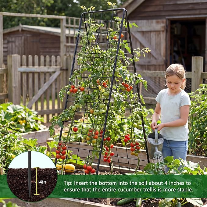 2 Pack Cucumber Trellis, Climbing Plants and Flowers - Image 8