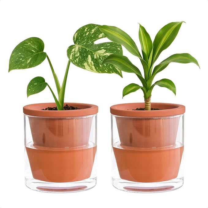 D'vine Dev 4 Inch Design Self Watering Pot by DvineDevPlanterPotsandStand