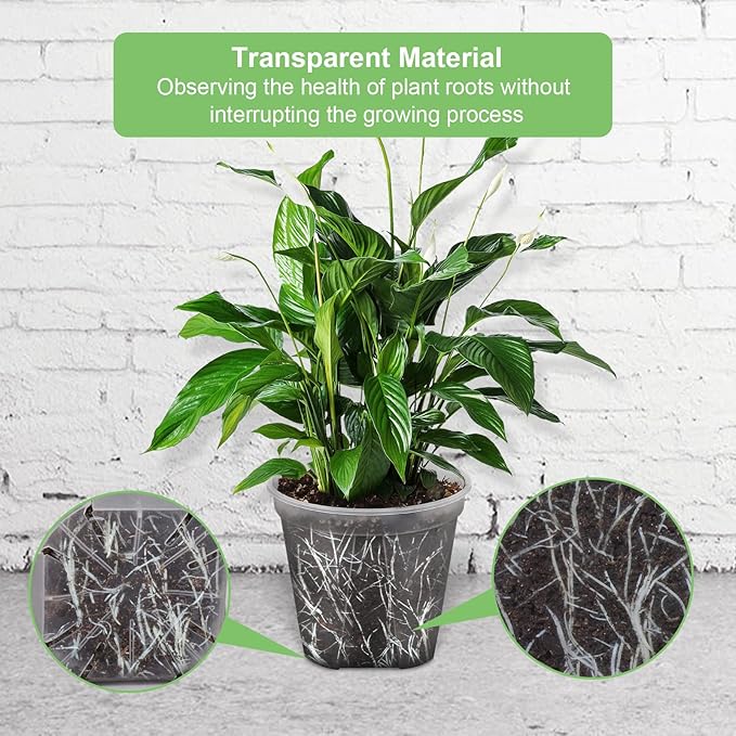 GREENPARA Transparent Plastic Planter 4/5 /6 inch Plant Nursery Pots - Image 3