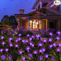 Kohlrabi Solar Garden Lights Outdoor, 6 Pack 60 LED Solar Purple Firefly Lights by KohlrabiDecor