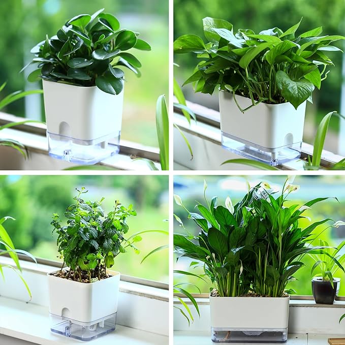 Planterhoma Self Watering Plant Pots - Image 5