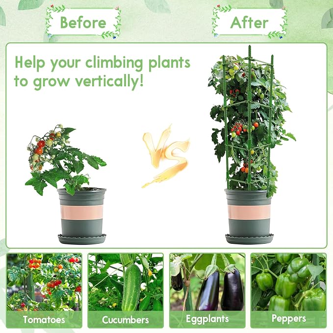 Riare 2 Pack 5.2 FT Tomato Cages - Image 6