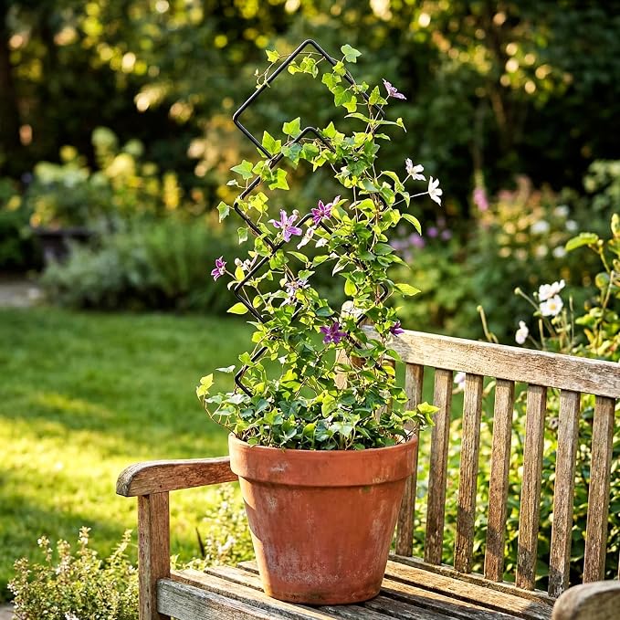Indoor Trellis for Climbing Plants: 3PC Small Garden Metal Trellis for Vine Ivy - Image 9