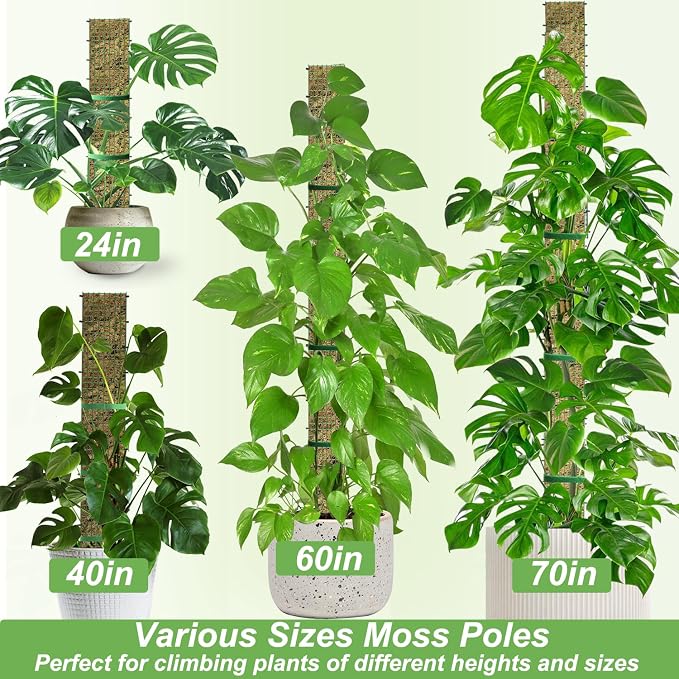 24" Metal Moss Pole, D Shape Sphagnum Moss Pole, Moss Poles - Image 7