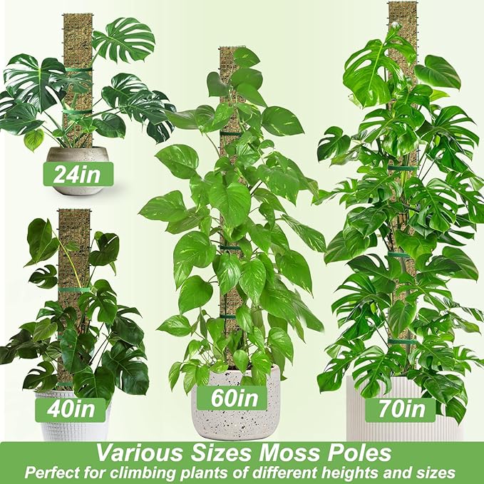 60" Metal Moss Pole, D Shape Sphagnum Moss Pole, Moss Poles - Image 8