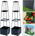 2 Packs Raised Garden Bed Tomato Planter Box by Biotolot