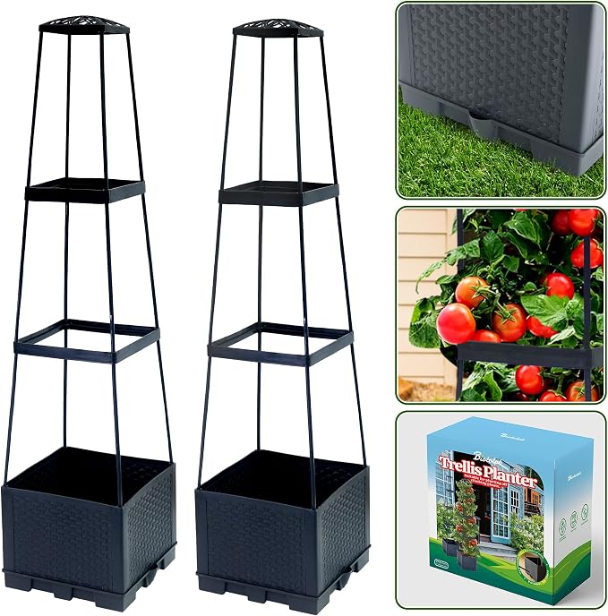 2 Packs Raised Garden Bed Tomato Planter Box by Biotolot
