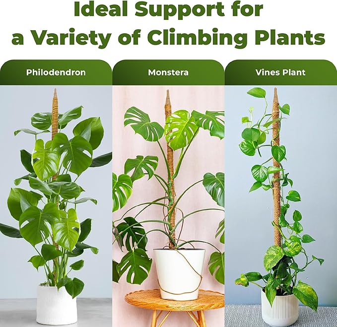 2 Pack 28 Inch Bendable Moss Pole Monstera Plant Support Stakes - Image 3