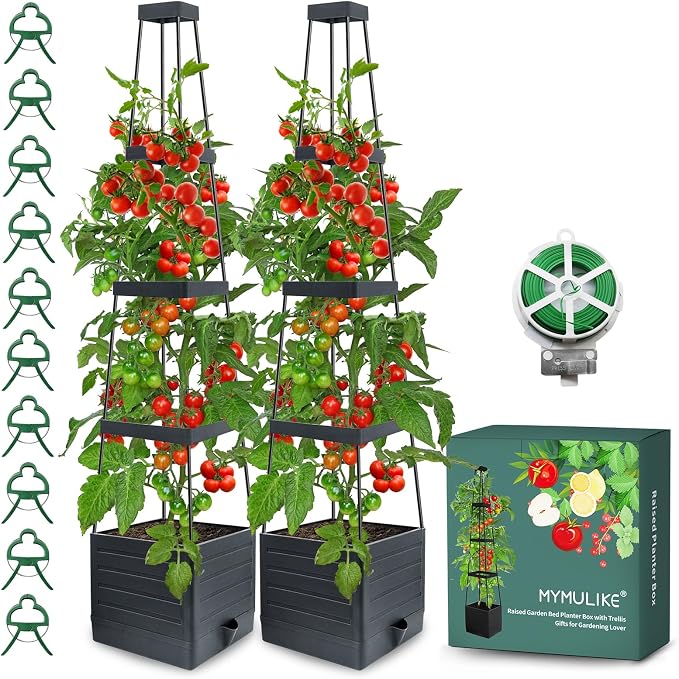 2 Pack Raised Garden Bed Planter Box by MYMULIKEHOME