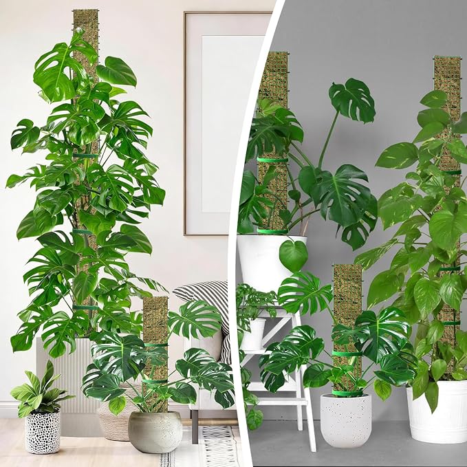 60"/40"/24" Metal Moss Pole, D Shape Sphagnum Moss Pole, Moss Poles - Image 8