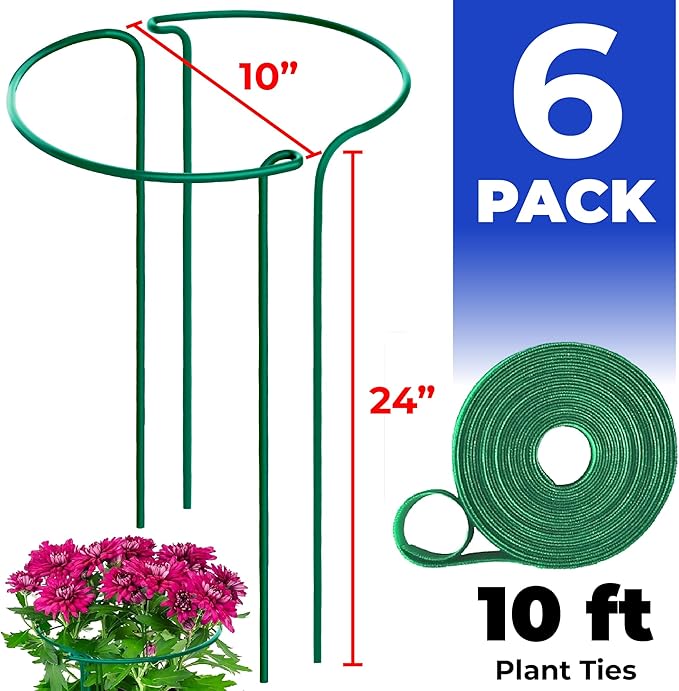 K-Brands Tall Plant Support Stakes – 10"W x 24"H Half Round Peony Cages and - Image 2