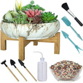 Succulent Pots with Drainage, 10 Inch Large Succulent Planters with 2.2lb Mix by ARTKETTY