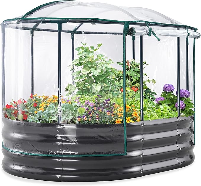 KING BIRD Raised Garden Bed by KINGBIRD