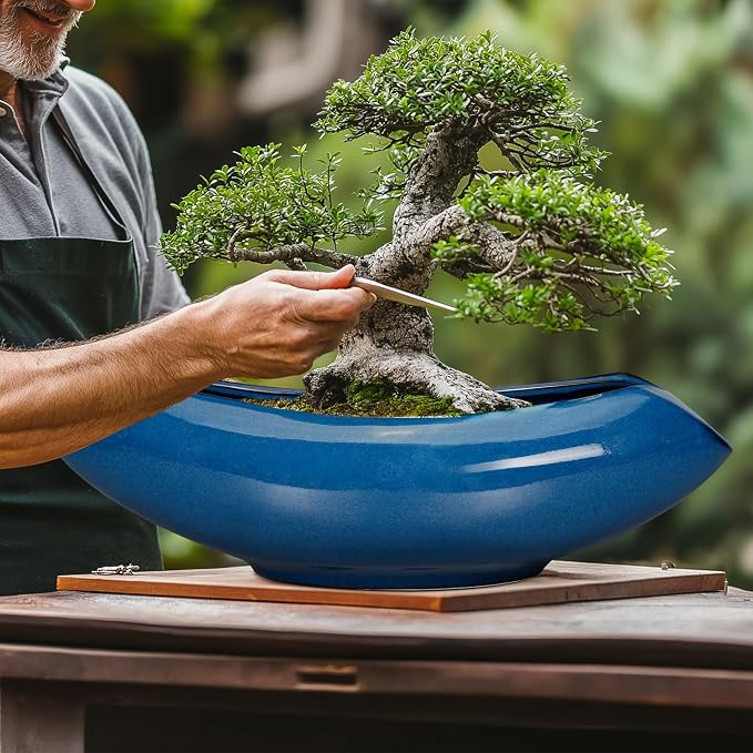 Bonsai Tree Pot 18 Inch - Image 4