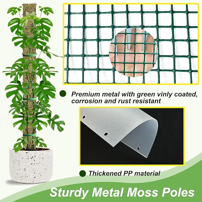60" Metal Moss Pole, D Shape Sphagnum Moss Pole, Moss Poles - Image 5