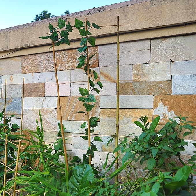 10 Pack 4ft Bamboo Trellis for Climbing Plants - Image 5