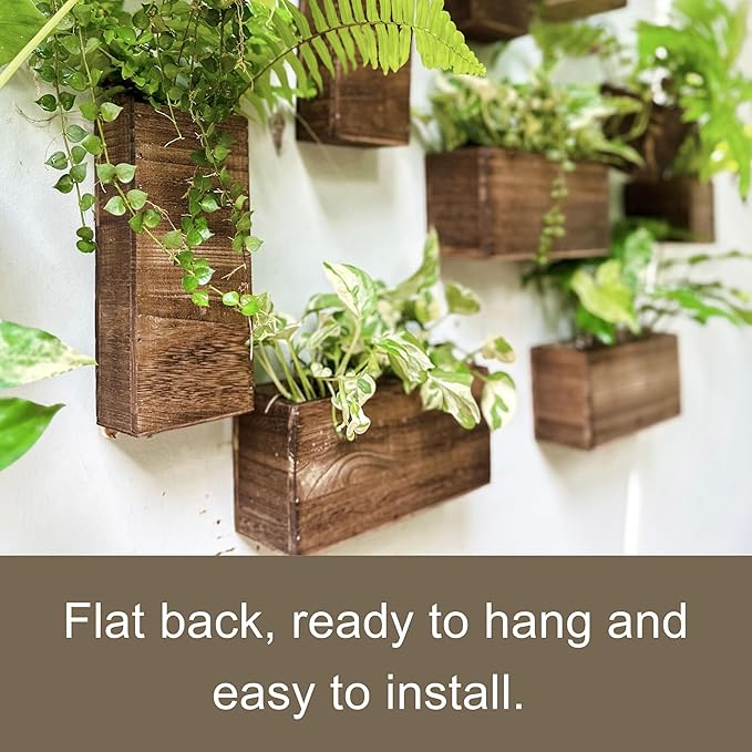 LaLaGreen Wood Planter Box for Plants Wooden Hanging Wall Planters for Indoor - Image 6